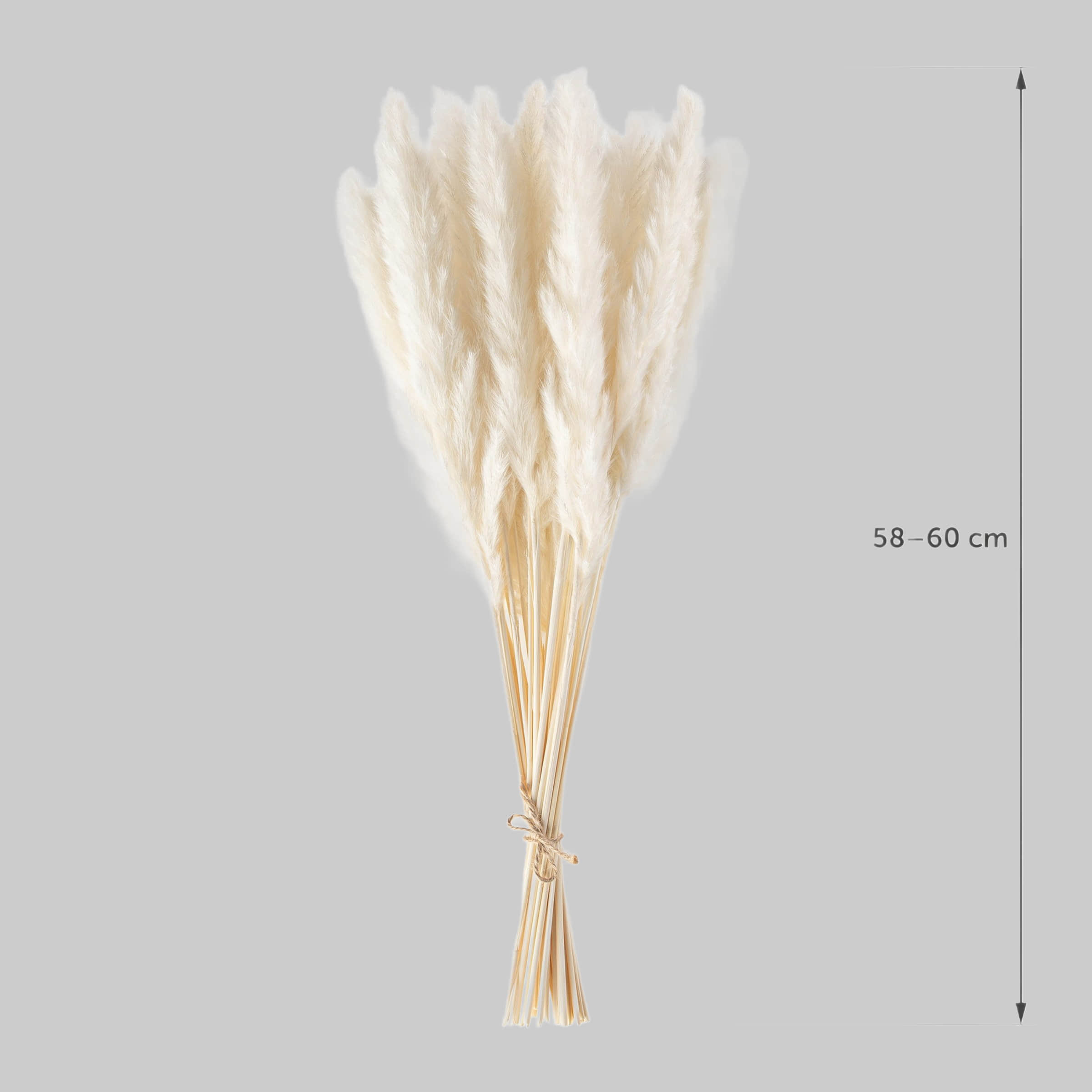 Dekoration Blumtal Blumtal Premium Pampasgras | Natürliche Trockenblumen (58-60cm) – Boho Deko für Vasen | 30/50/100 Stück | Langlebige Zimmerpflanzen Alternative Weiß