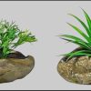 Home affaire Kunstpflanze »Sukkulenten« 4er Set (12 cm) - täuschend echte Dekopflanzen für Wohnzimmer & Büro Dekoration Home affaire