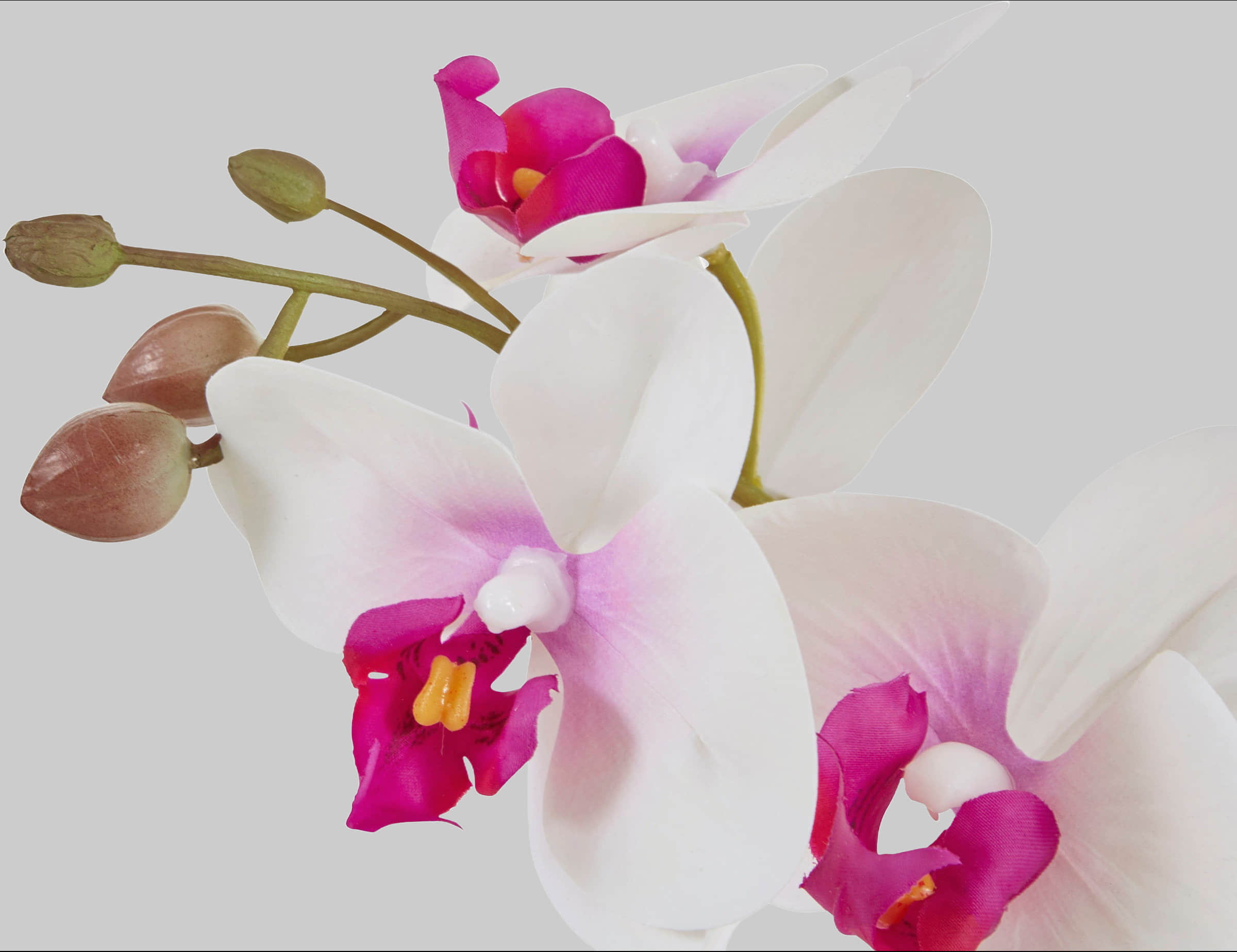 Dekoration Home affaire Home affaire Premium Artificial Orchid Plant - 55cm Tall Realistic Purple Silk Orchid in Decorative Silver Pot for Home & Office Decor weiß