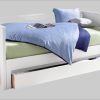 Lüttenhütt Bettschubkasten »BROOKLYN« mit Rollen – 125cm breite Schublade aus FSC®-Holz für optimalen Stauraum unter dem Bett weiß Lu00FCttenhu00FCtt Schubladen