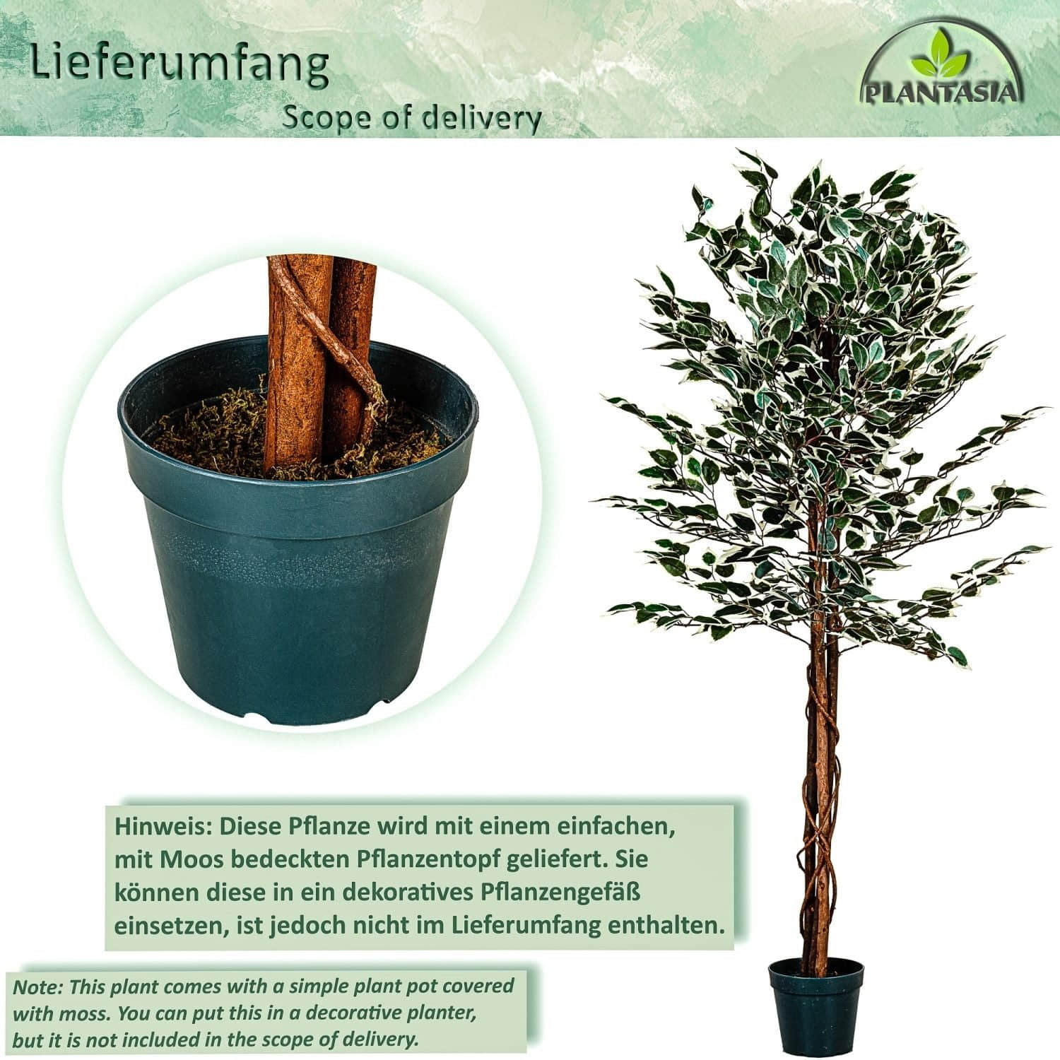 PLANTASIA Kunstficus Benjamini 160/190 cm - Hochwertiger künstlicher Ficusbaum mit Echtholzstamm & Textilblättern (714/1008 Blätter) Dekoration PLANTASIA