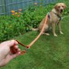 Activity4Dogs Tierbedarf Activity4Dogs Premium Nylon-Hundeleine Anti-Slip | 2,8m 4-fach verstellbar | Für mittelgroße & große Hunde | Rutschfester Griff | Wasserdicht | Made in Germany orange