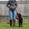 Activity4Dogs Tierbedarf Activity4Dogs Premium Nylon-Hundeleine Anti-Slip | 2,8m 4-fach verstellbar | Für mittelgroße & große Hunde | Rutschfester Griff | Wasserdicht | Made in Germany rot