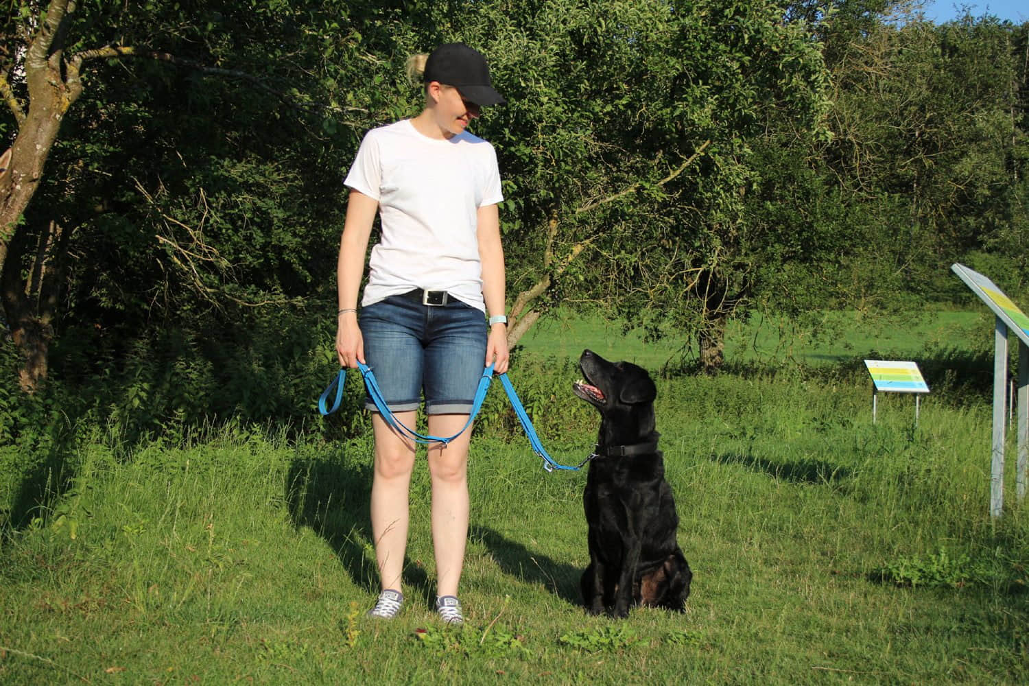 Activity4Dogs Premium Nylon-Hundeleine Anti-Slip | 2,8m 4-fach verstellbar | Für mittelgroße & große Hunde | Rutschfester Griff | Wasserdicht | Made in Germany blau Tierbedarf Activity4Dogs