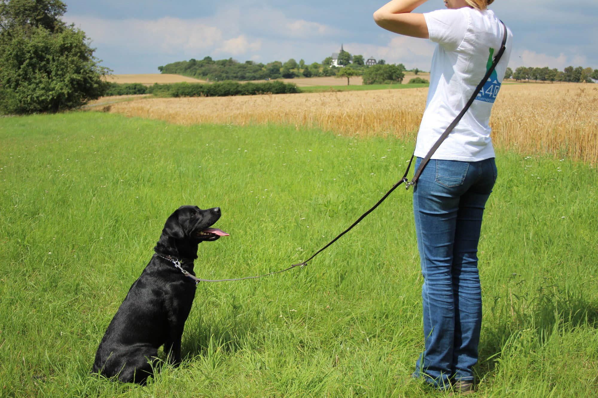 Activity4Dogs Premium Nylon-Hundeleine Anti-Slip | 2,8m 4-fach verstellbar | Für mittelgroße & große Hunde | Rutschfester Griff | Wasserdicht | Made in Germany braun Activity4Dogs Tierbedarf
