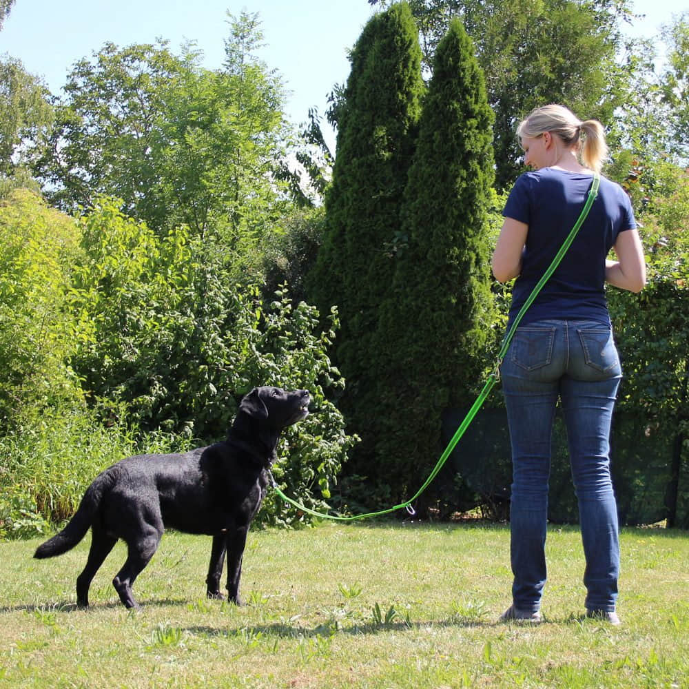 Tierbedarf Activity4Dogs Activity4Dogs Premium Nylon-Hundeleine Anti-Slip | 2,8m 4-fach verstellbar | Für mittelgroße & große Hunde | Rutschfester Griff | Wasserdicht | Made in Germany grün