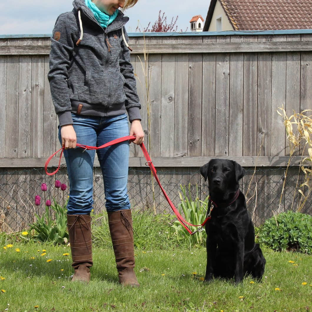 Activity4Dogs Tierbedarf Activity4Dogs Premium Nylon-Hundeleine Anti-Slip | 2,8m 4-fach verstellbar | Für mittelgroße & große Hunde | Rutschfester Griff | Wasserdicht | Made in Germany rot