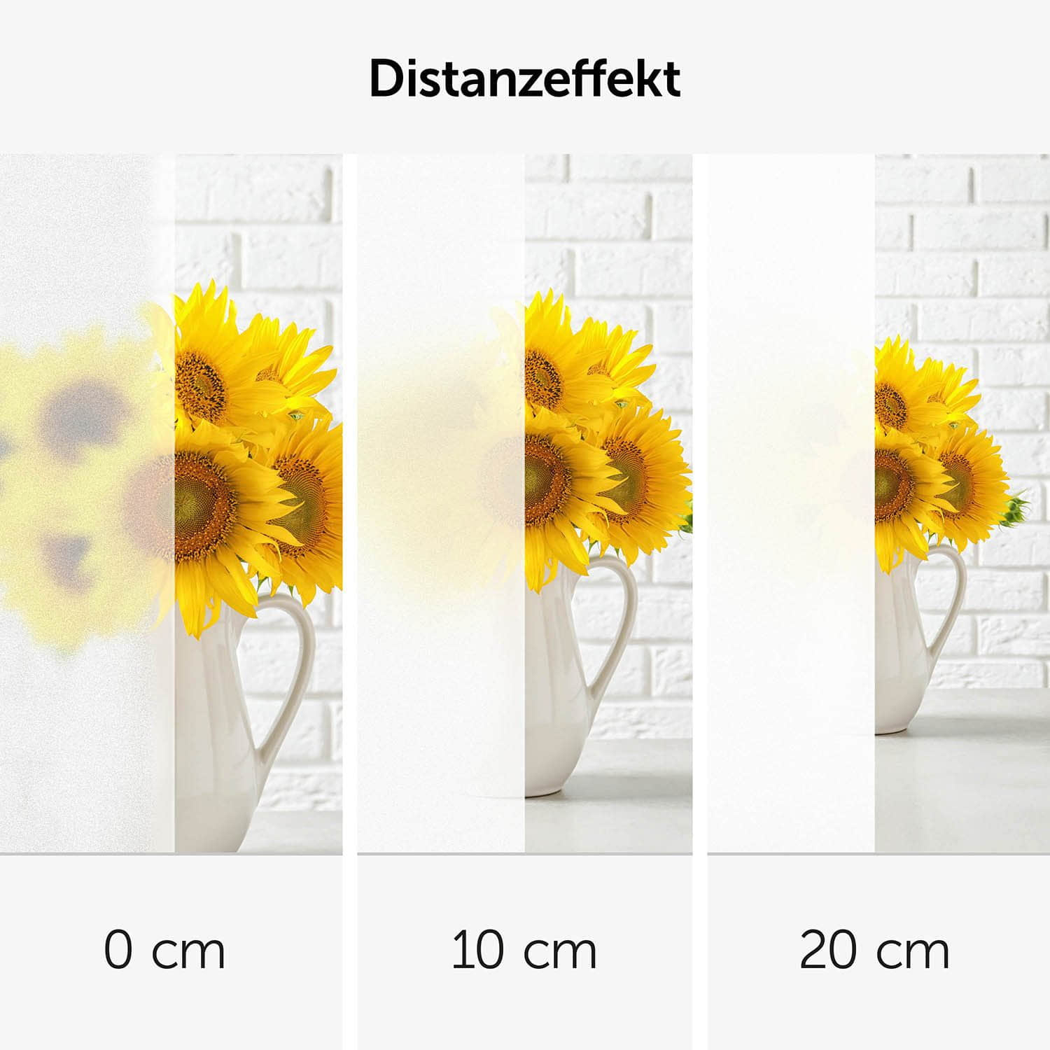 Blumtal Blumtal Premium Fensterfolie Milchglas-Effekt | Blickdichter Sichtschutz mit UV400-Schutz | Selbsthaftend für Fenster, Duschkabinen & Glaswände | Einfache Installation ohne Kleberückstände Matt Rollos & Plissees