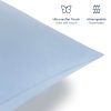 Blumtal Bettwäsche Blumtal Premium Microfiber Bedding Set | OEKO-TEX® Certified 100% Polyester | Wrinkle & Fade Resistant | Complete Sheet Sets with Pillowcases Hellblau