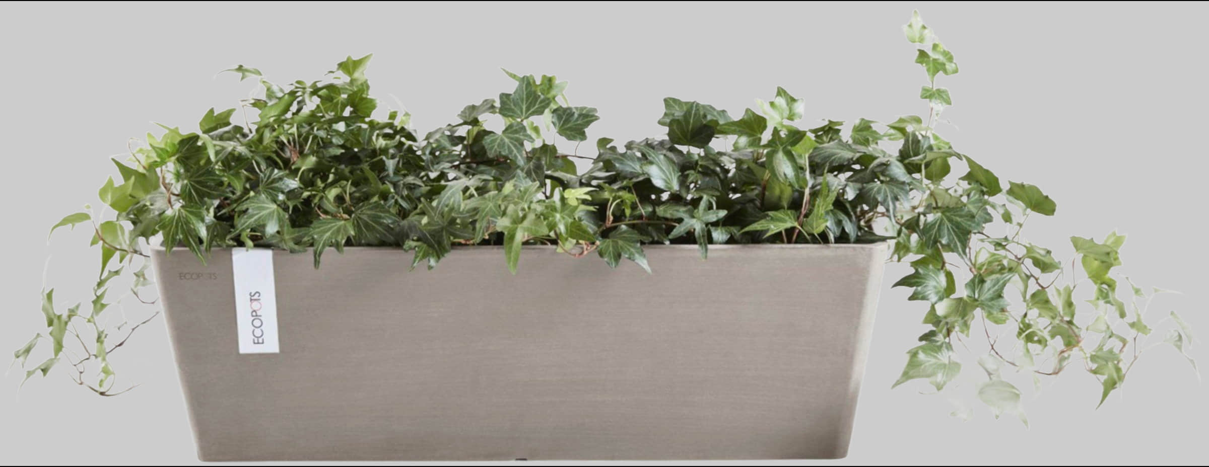 ECOPOTS Garten & Balkon ECOPOTS Balkonkasten Bruges 55 mit Wassersystem Taupe - Frostsicherer Blumenkasten aus recyceltem Kunststoff für Balkon & Terrasse (55x17cm)