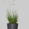 Garten & Balkon ECOPOTS Ecopots Oslo 35cm Dark Grey Recycled Plastic Flower Pot - Large Round Planter for Indoor/Outdoor Plants - Frostproof & UV-Resistant
