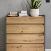 INOSIGN Kommoden & Sideboards INOSIGN 'Kosmo' 4-Drawer Dresser with Full Extension - FSC® Certified Wood Storage Solution for Bedroom & Living Room anthrazit/