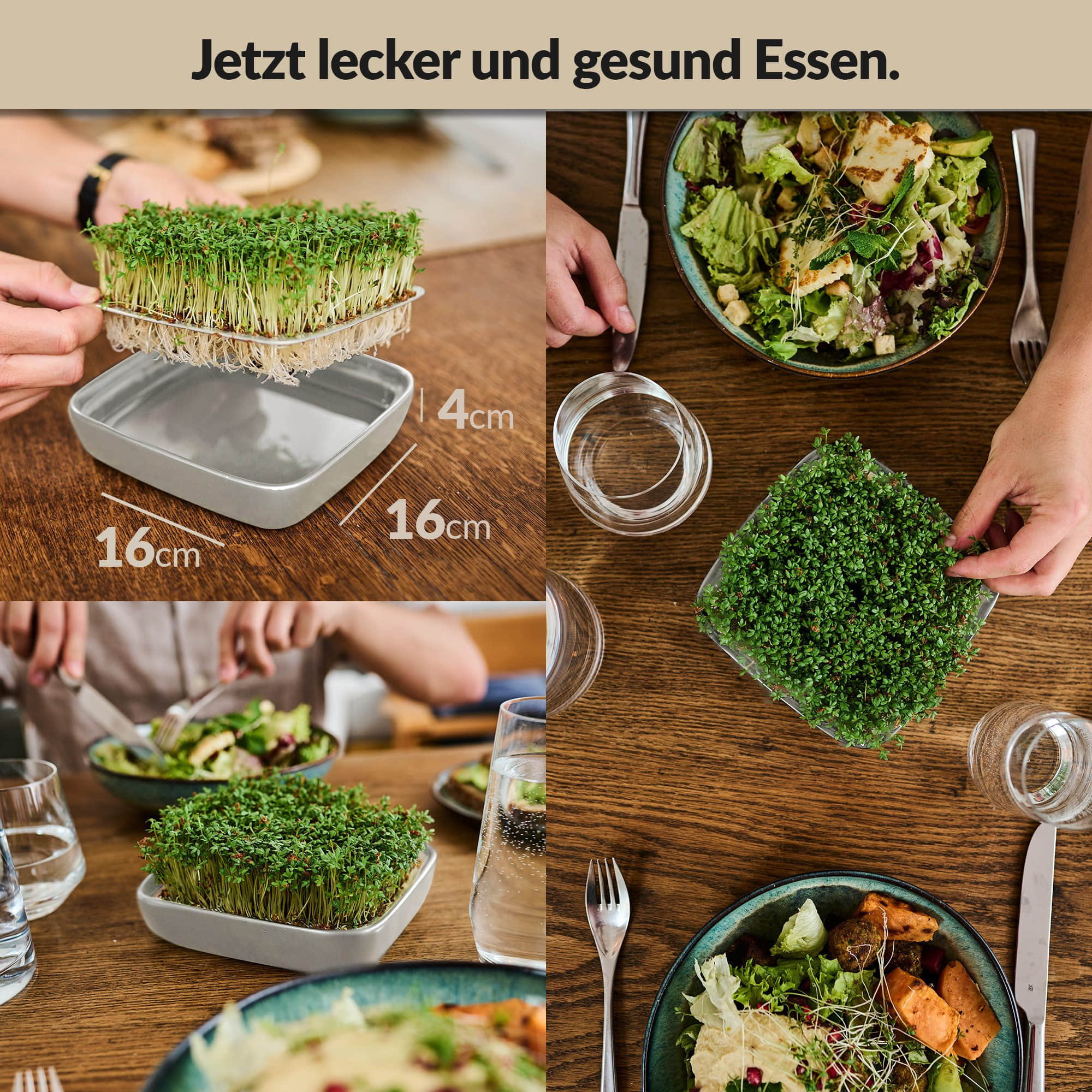 Otaro Otaro Kressesieb-Set mit Keramikschale & Edelstahlsieb + Kressesamen | Premium Sprossenanzucht | Skandinavisches Design | Rostfreier Edelstahl | Inkl. Bio-Samen | Ideal für Küche & Fensterbank Hellgrau Garten & Balkon