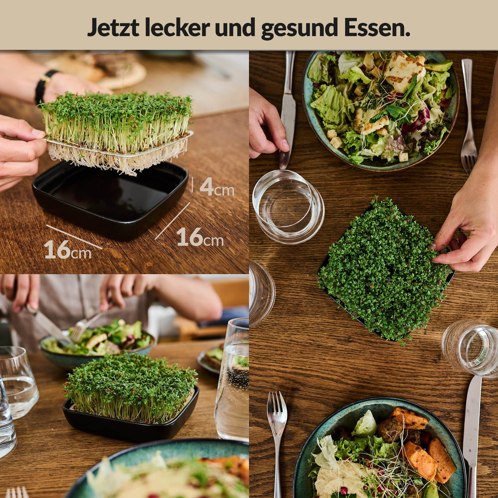 Garten & Balkon Otaro Otaro Kressesieb-Set mit Keramikschale & Edelstahlsieb + Kressesamen | Premium Sprossenanzucht | Skandinavisches Design | Rostfreier Edelstahl | Inkl. Bio-Samen | Ideal für Küche & Fensterbank Schwarz