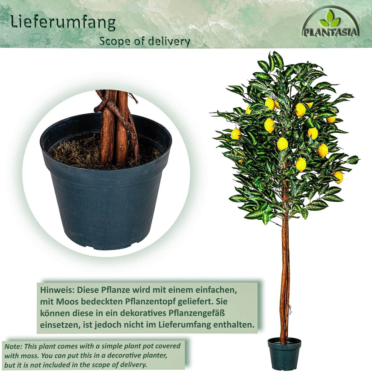 PLANTASIA PLANTASIA Kunst-Zitronenbaum 184 cm | Künstlicher Zitronenbaum mit Echtholzstamm & 20 Früchten | Dekobaum für Wohnzimmer, Büro & Wintergarten Dekoration