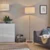 Paulmann Paulmann Tessa Stehlampe | Dimmbare Standleuchte mit Creme-Stoffschirm | E27 Fassung | Gebürstetes Metallgestell | 160cm Höhe Lampen