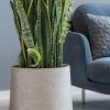 finestgreen Garten & Balkon finestgreen Pflanzkübel 'Patt' Grey Wasched | Handgefertigtes Pflanzgefäß | Frost- & UV-beständig | Für Innen & Außen Grau