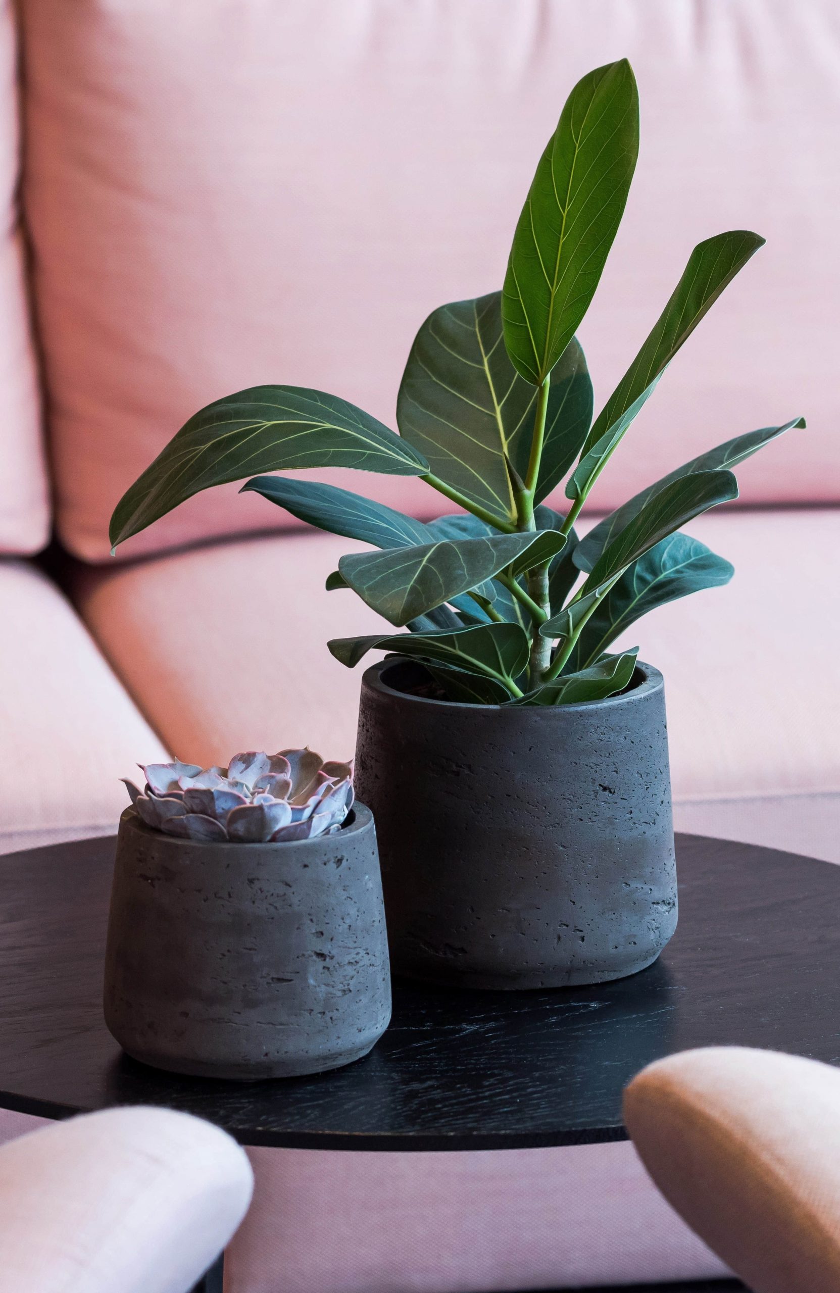 Garten & Balkon finestgreen finestgreen Pflanzkübel 'Patt' Grey Wasched | Handgefertigtes Pflanzgefäß | Frost- & UV-beständig | Für Innen & Außen Schwarz