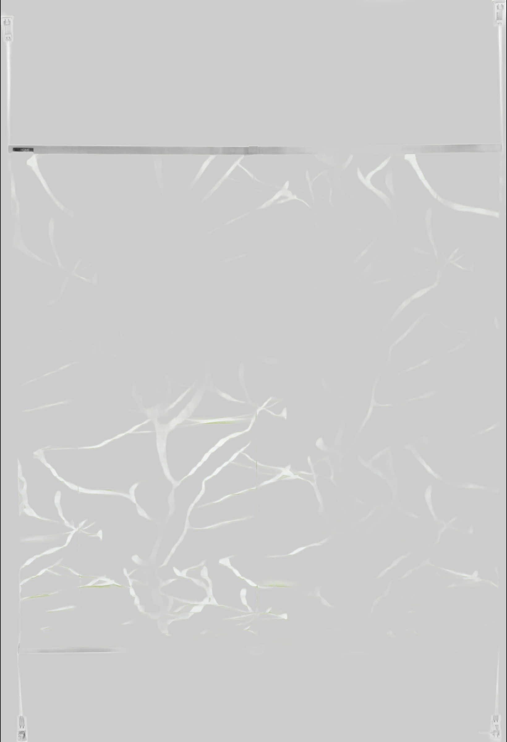 Rollos & Plissees my home my home Plissee ANNA | Lichtschutz ohne Bohren mit Ästemotiv & Klemmträgern | Bestseller (500+ 4,5★) grün